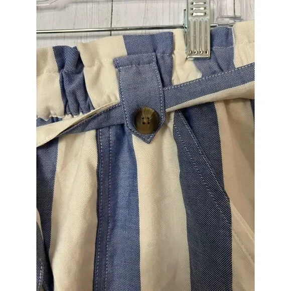 NWT American Eagle Outfitters AE Women's Shorts Lined Striped size XL - Picture 4 of 6